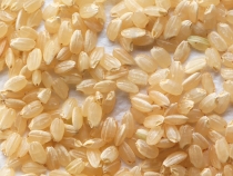 食健オンラインショップ