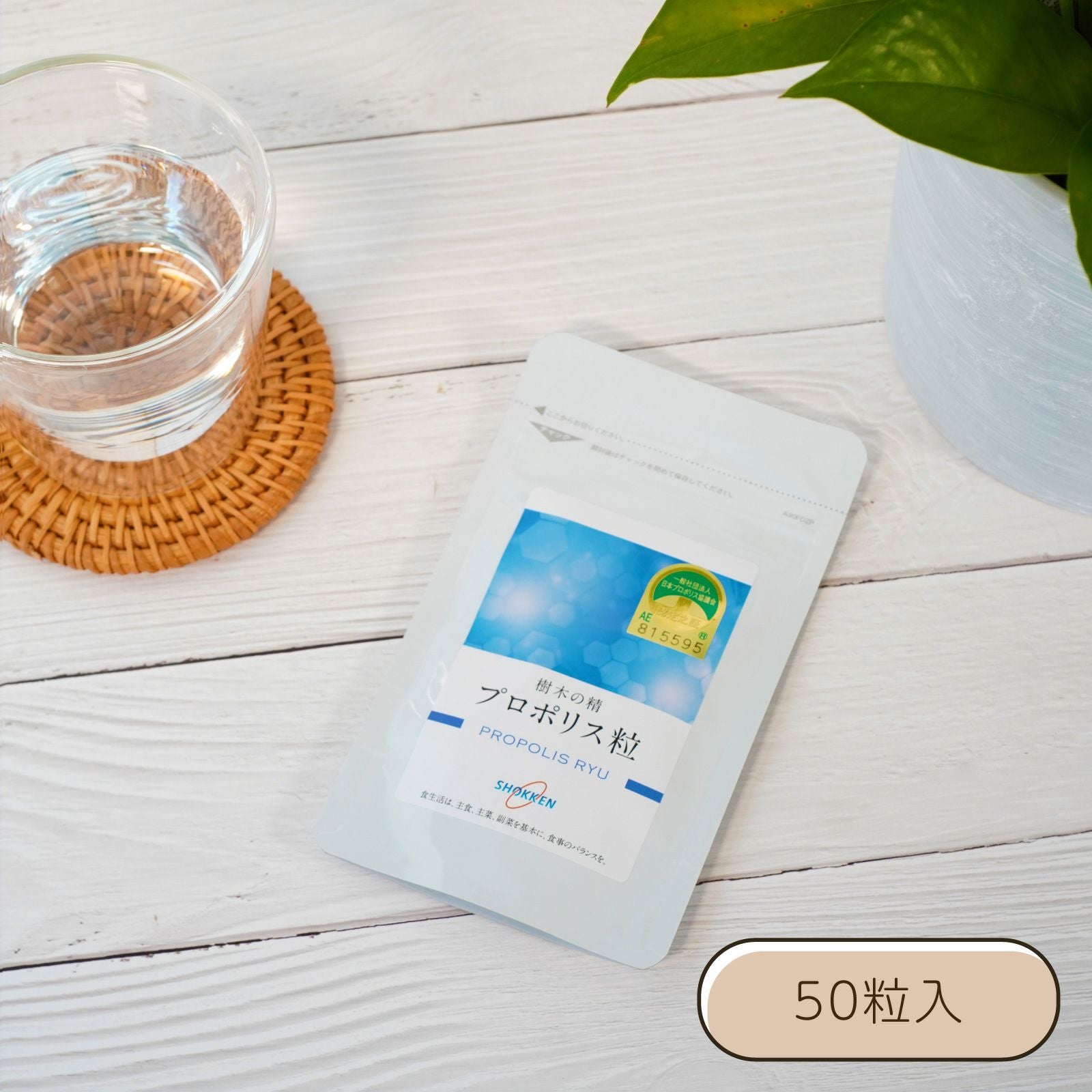 霊芝粒 (れいしりゅう） 50粒入 | サプリメント | 食健オンラインショップ